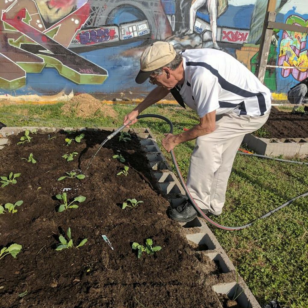 Sow Seeds for the Harvest